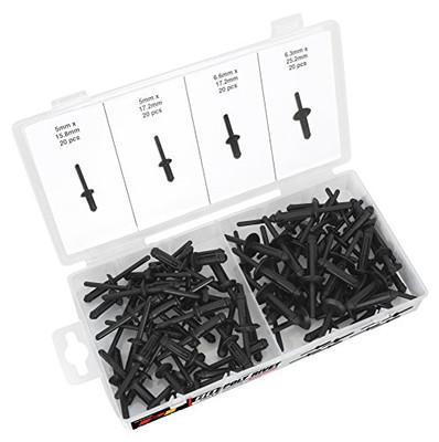 Performance Tool W5250 80Pc Poly Rivet Assortment