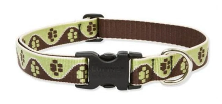 60353 1-inch Mud Puppy Adjustable Dog Collar 16-28 Inches For Large Dogs
