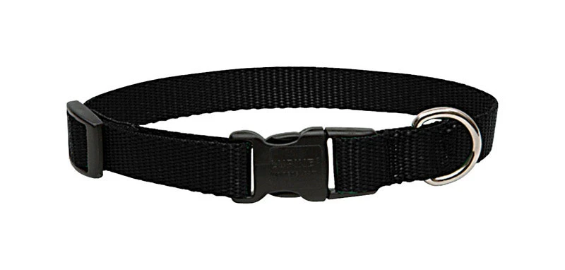 3/4-inch Black Adjustable Dog Collar 13–22 In | Durable Nylon, Ykk Buckle