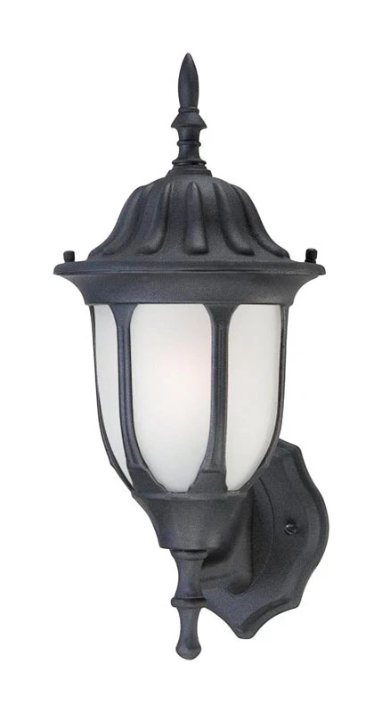 100-watt Black Aluminum Outdoor Wall Lantern Light Fixture