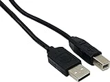 Usb 2.0 Device Cable, 6-foot A Plug To B Plug For Reliable Connectivity