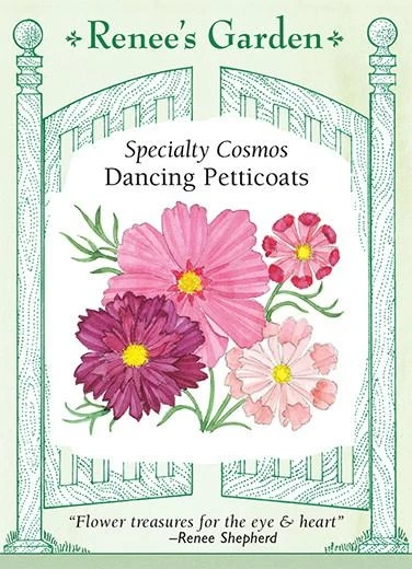 Cosmos Dancing Petticoats