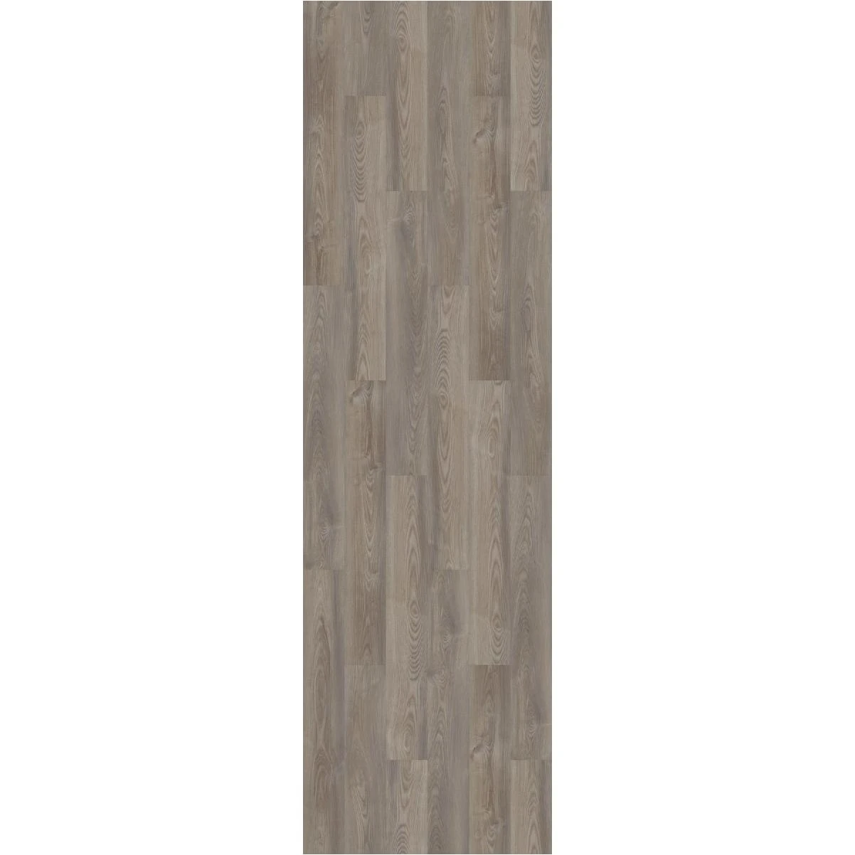 Floorte Pro Anvil Plus Grey Chestnut 7 In. W X 48 In. L Vinyl Rigid Core Floor Plank (27.73 Sq. Ft./case)