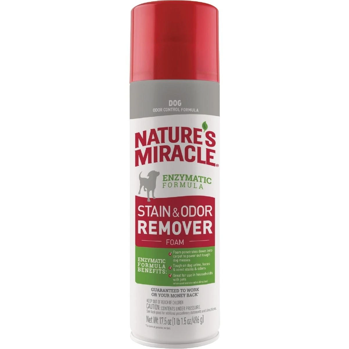 17.5 Oz. Foam Dog Stain & Odor Remover
