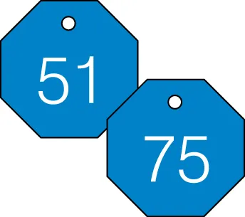 Accuform TDG824BU 1-1/2″ Accu-Ply Engraved Numbered Plastic Tags