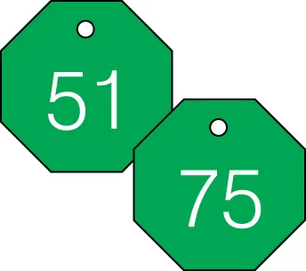 Accuform TDG824GN 1-1/2″ Accu-Ply Engraved Numbered Plastic Tags