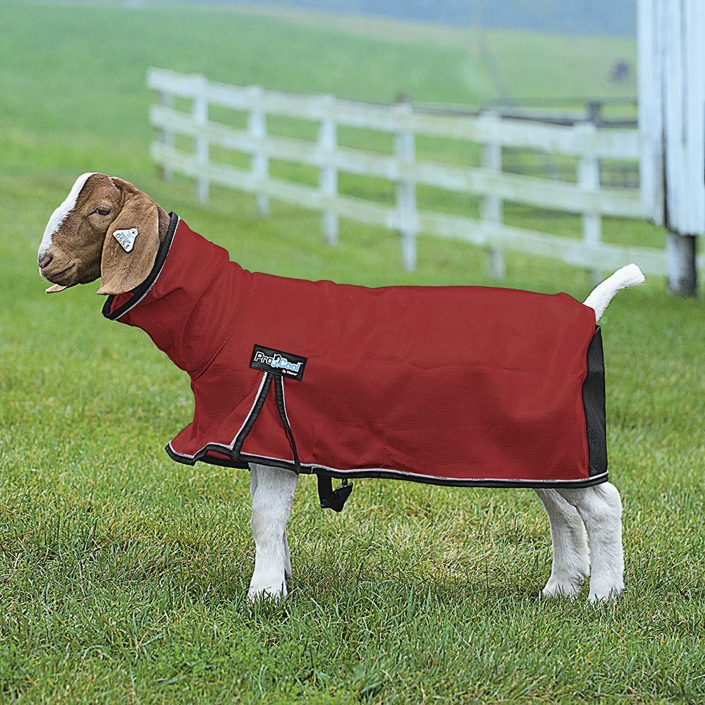 Weaver Leather Leather ProCool Mesh Goat Blanket Small Red