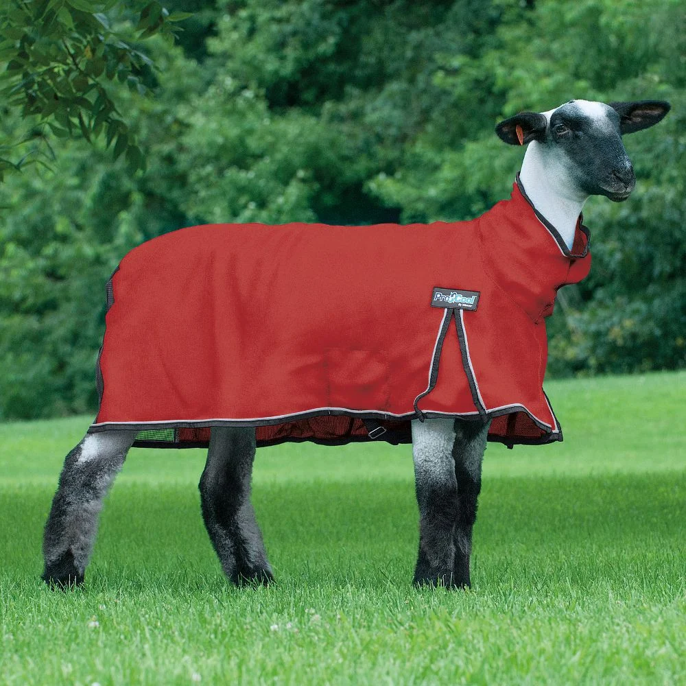Weaver Leather ProCool Mesh Sheep Blanket Large Red